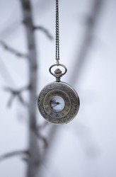 Similar image 13311055