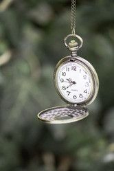 Similar image 13311087