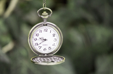 Similar image 13311090