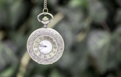 Similar image 13311105