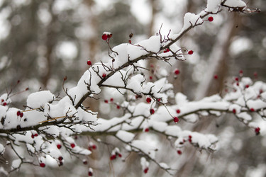 Similar image 13311108