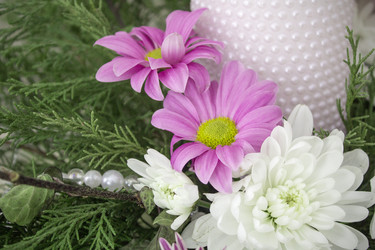 Similar image 13311076