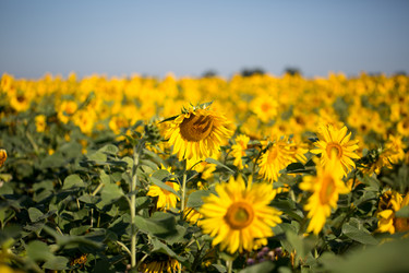 Similar image 13298368