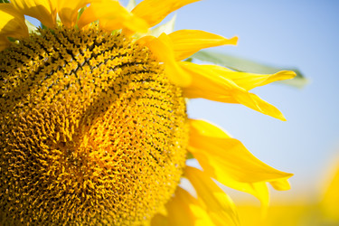 Similar image 13298418