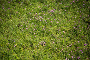 Similar image 13300047