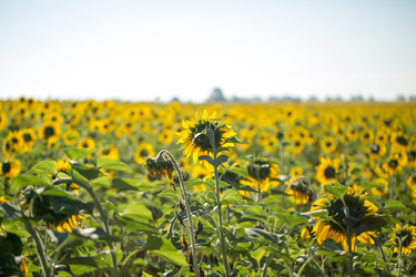 Similar image 13300048