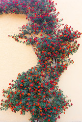 Similar image 13295718