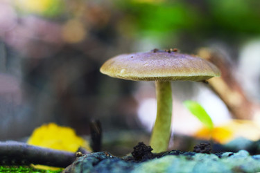 Similar image 13305492