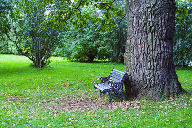 Similar image 13300851