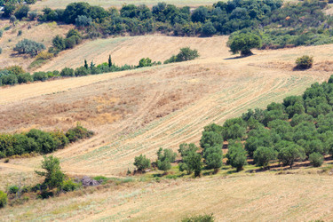 Similar image 13295774