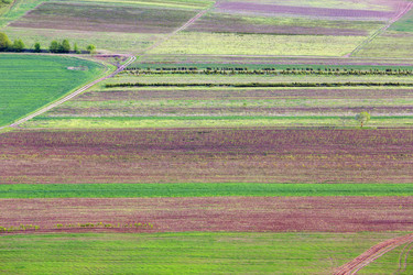 Similar image 13295808