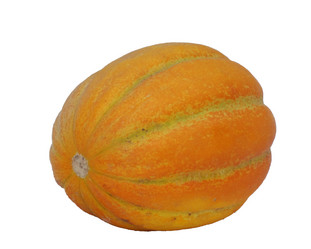 Similar image 13294564