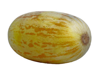 Similar image 13294568