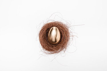 Similar image 13304635