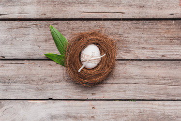 Similar image 13304651