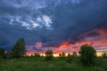 Similar image 13315902