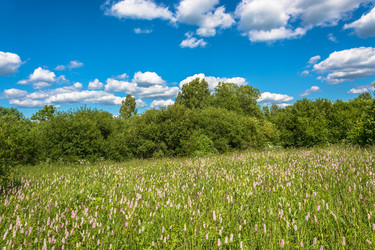 Similar image 13315940