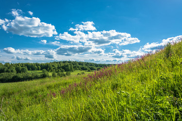 Similar image 13315953