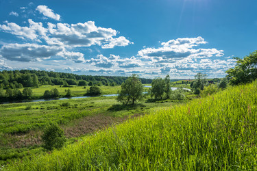 Similar image 13315960