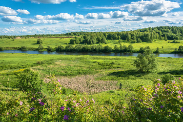 Similar image 13315982