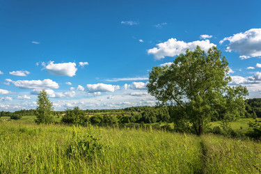 Similar image 13315988