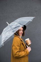 Similar image 13304849