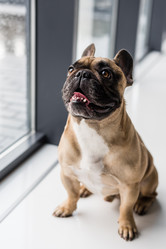 Similar image 13304424