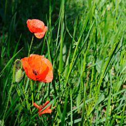 Similar image 13296706