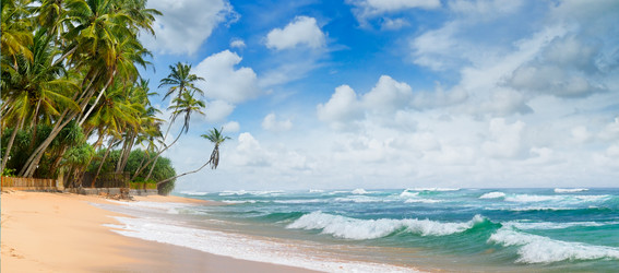 Similar image 13296713