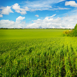 Similar image 13296764