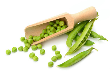 Similar image 13296769