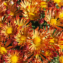 Similar image 13296771