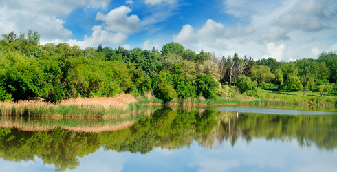 Similar image 13296780