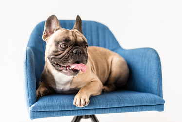 Similar image 13304765