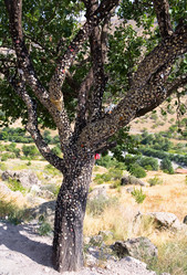 Similar image 13296403