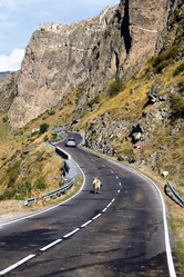 Similar image 13296404