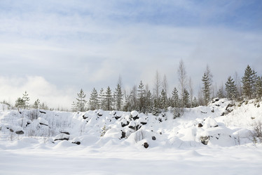 Similar image 13296112