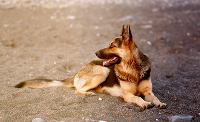 Similar image 13301247