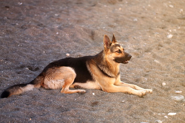 Similar image 13301248