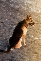 Similar image 13301250