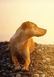 Similar image 13301251