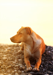 Similar image 13306064