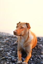 Similar image 13306066