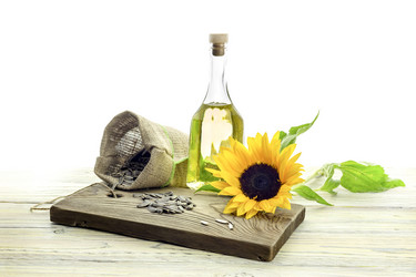 Similar image 13308219