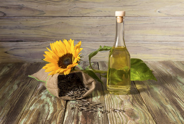 Similar image 13308239