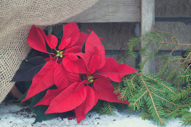 Similar image 13297766