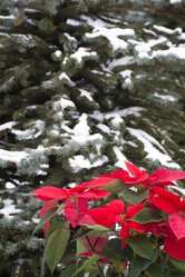 Similar image 13297780