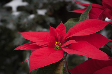 Similar image 13297783