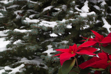 Similar image 13297794