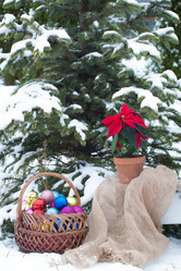 Similar image 13297805